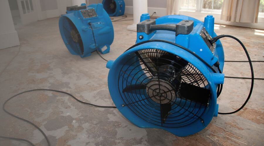 Why choose Black Mold Removal Annandale for black mold removal in Annandale